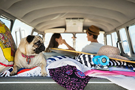 A rear shot of a van packed with towers, a skateboard, a couple and their pug.