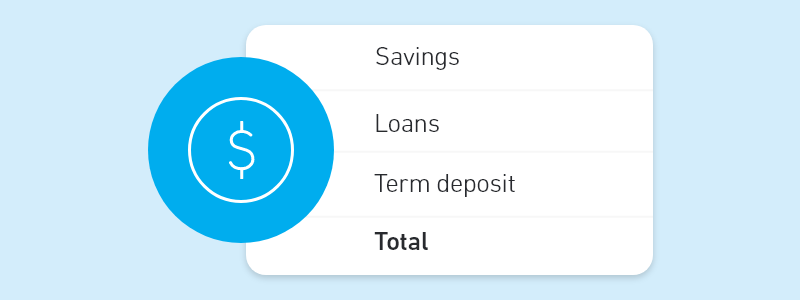 A list of ways to display account status; net position is highlighted.