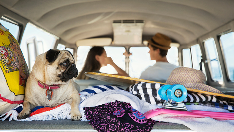 A rear shot of a van packed with towers, a skateboard, a couple and their pug.